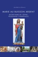 Couverture Marie au buisson d'argent