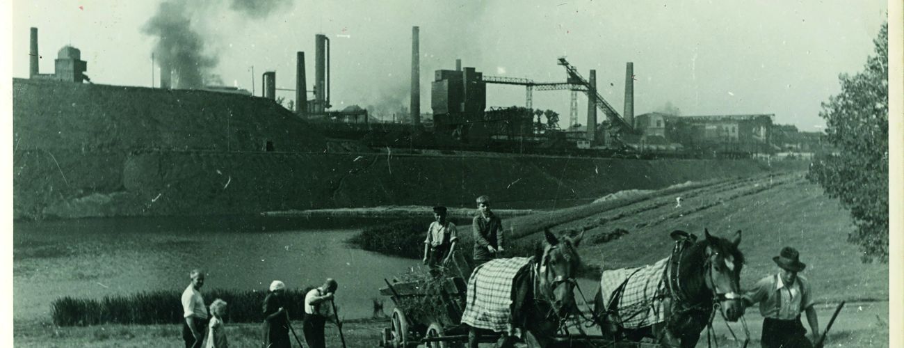 image histoire environnementale